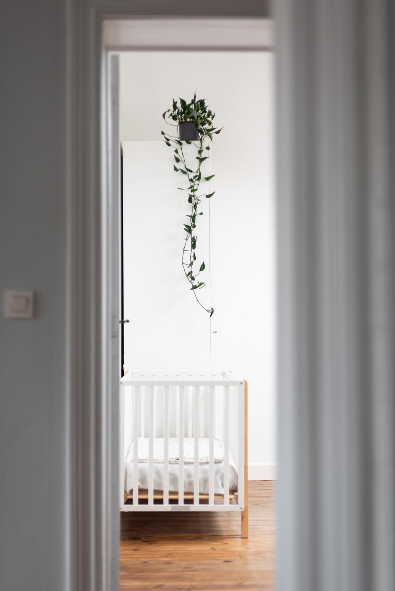 New! Design Herenhuis In Het Centrum Van Tongeren Buitenkant foto