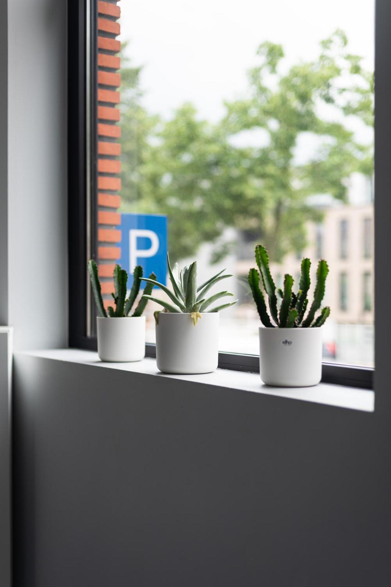 New! Design Herenhuis In Het Centrum Van Tongeren Buitenkant foto